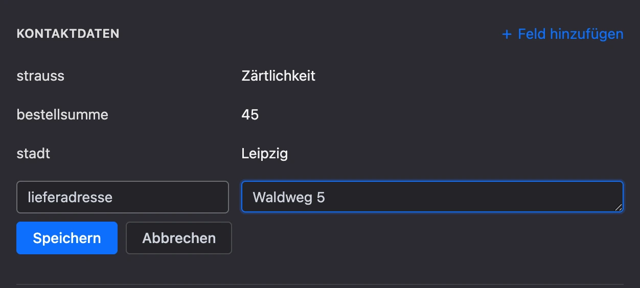 Bereich „Kontaktdaten“: Variablen und ein neues Feld mit Name und Wert