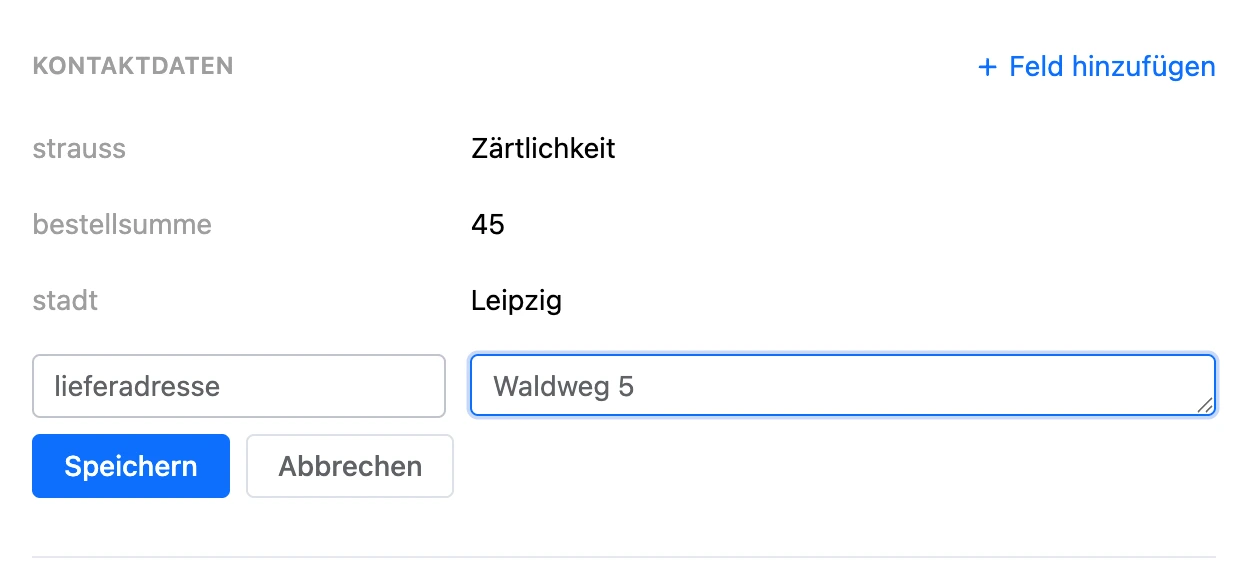 Bereich „Kontaktdaten“: Variablen und ein neues Feld mit Name und Wert