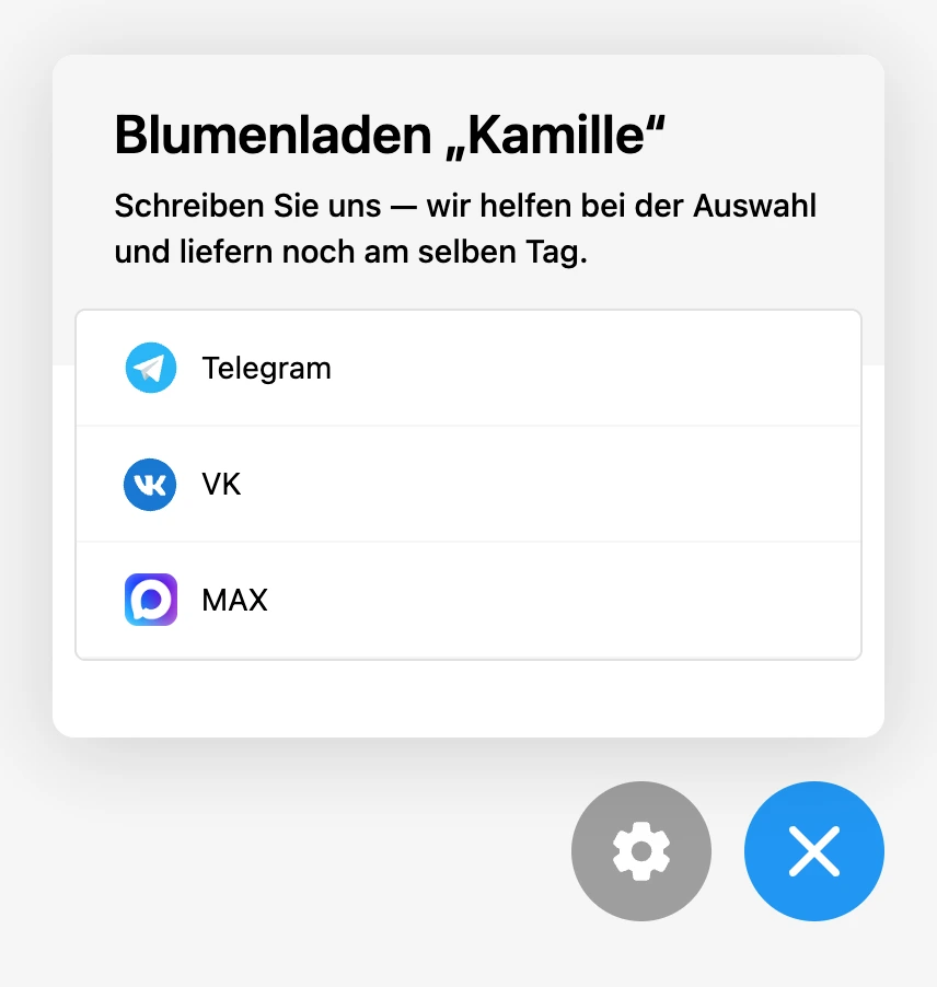 Widget auf der Website: Titel, Beschreibung und Messenger-Links