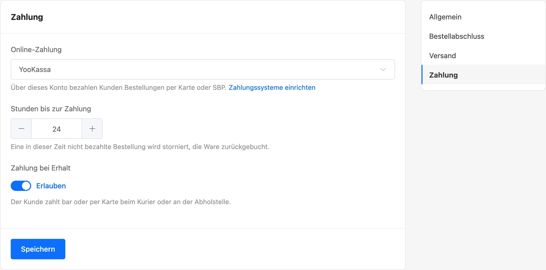 Zahlungseinstellungen des Shops